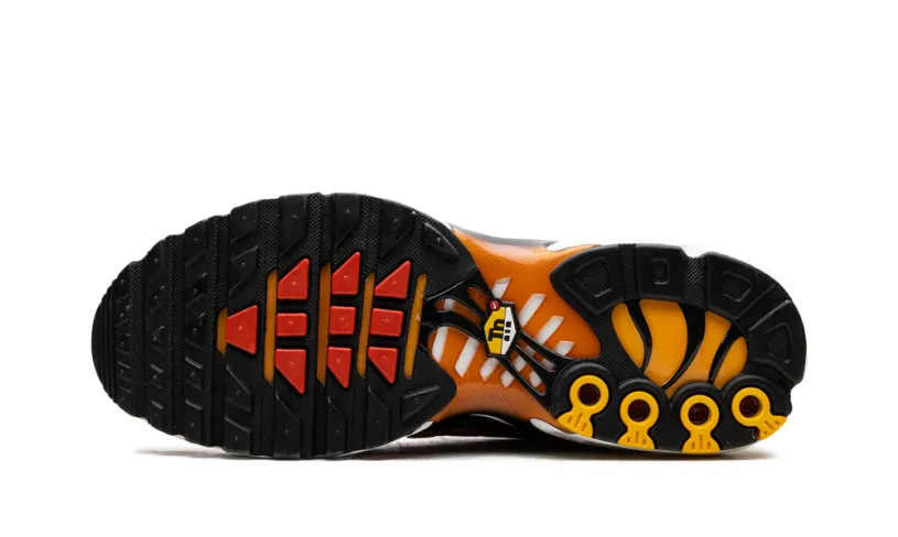 Nike Air Max Air Max Plus 'Sunset'